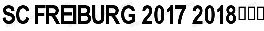 SC Freiburg 2017 2018字体转换